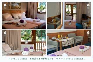 Отель Hotel Górski Строне-Слёнске Двухместный номер с 1 кроватью или 2 отдельными кроватями-2