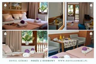Отель Hotel Górski Строне-Слёнске Двухместный номер с 1 кроватью или 2 отдельными кроватями-5