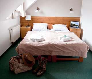Отель Hotel Górski Строне-Слёнске Двухместный номер с 1 кроватью или 2 отдельными кроватями-7